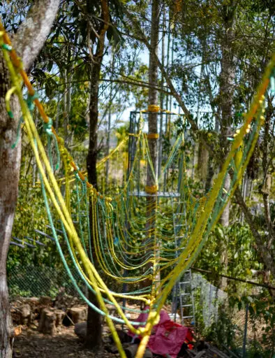 activity of best resort in wayanad