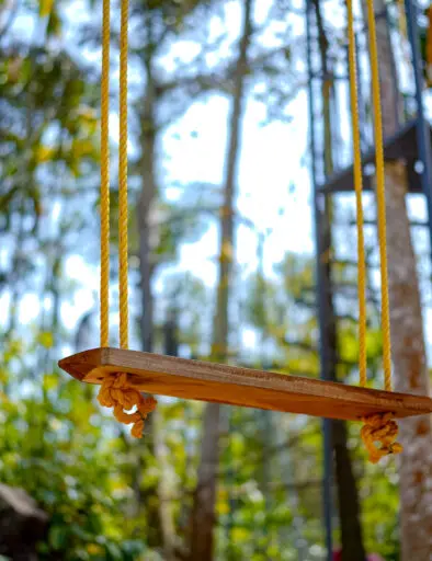 swing of best resort in wayanad